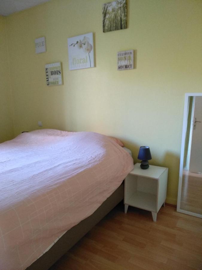 chambre d'hôte à 15 minutes de la gare dans appartement Annecy Esterno foto